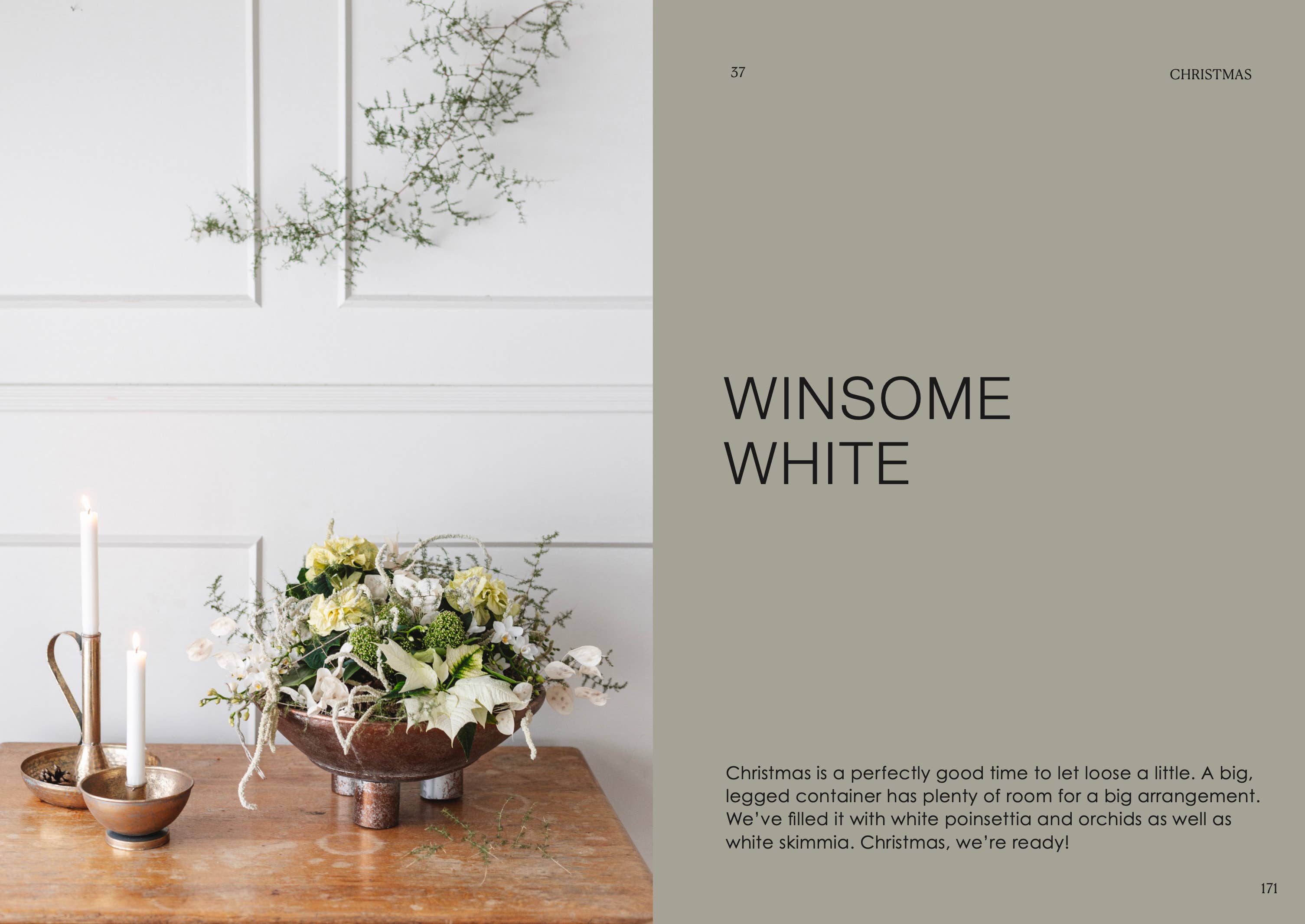 Cozy Publishing - Wholesale Home & Garden - The Potted Garden - All Year Round11