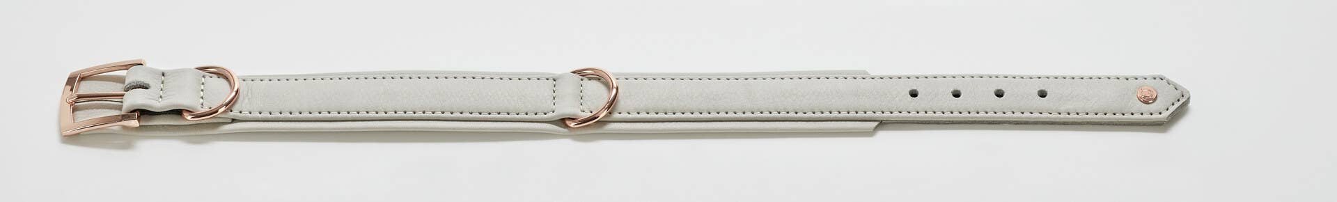 LABONI - Volentis GmbH - Wholesale Pet Collar - Dog - AMICI dog collar28