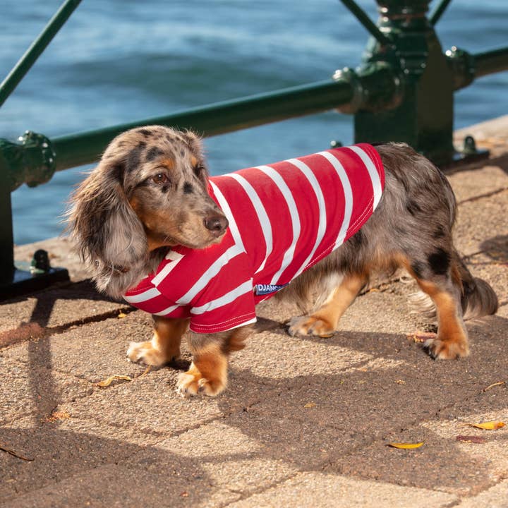 DJANGO - Wholesale Pet Hoodie - Dog - Dog Hoodie - Red3