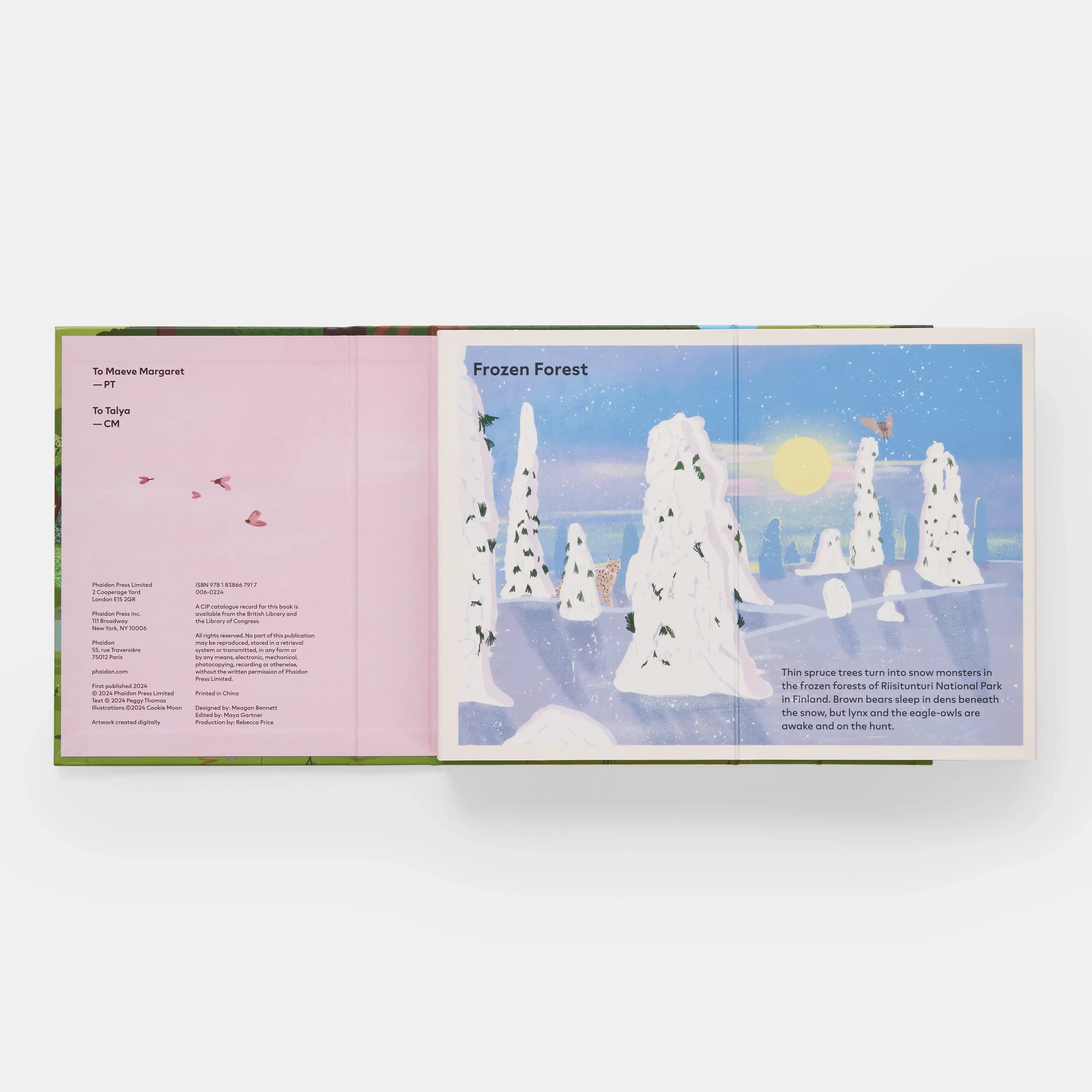 Phaidon Press - Vente Livre pour enfants de maternelle (de 3 à 5 ans) - Une famille d'arbres : mon premier livre sur les forêts10