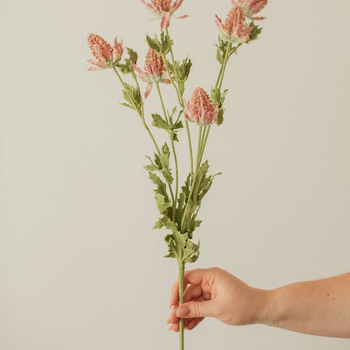 Eucalypt Co. - Wholesale Artificial flowers - Bell Thistle0