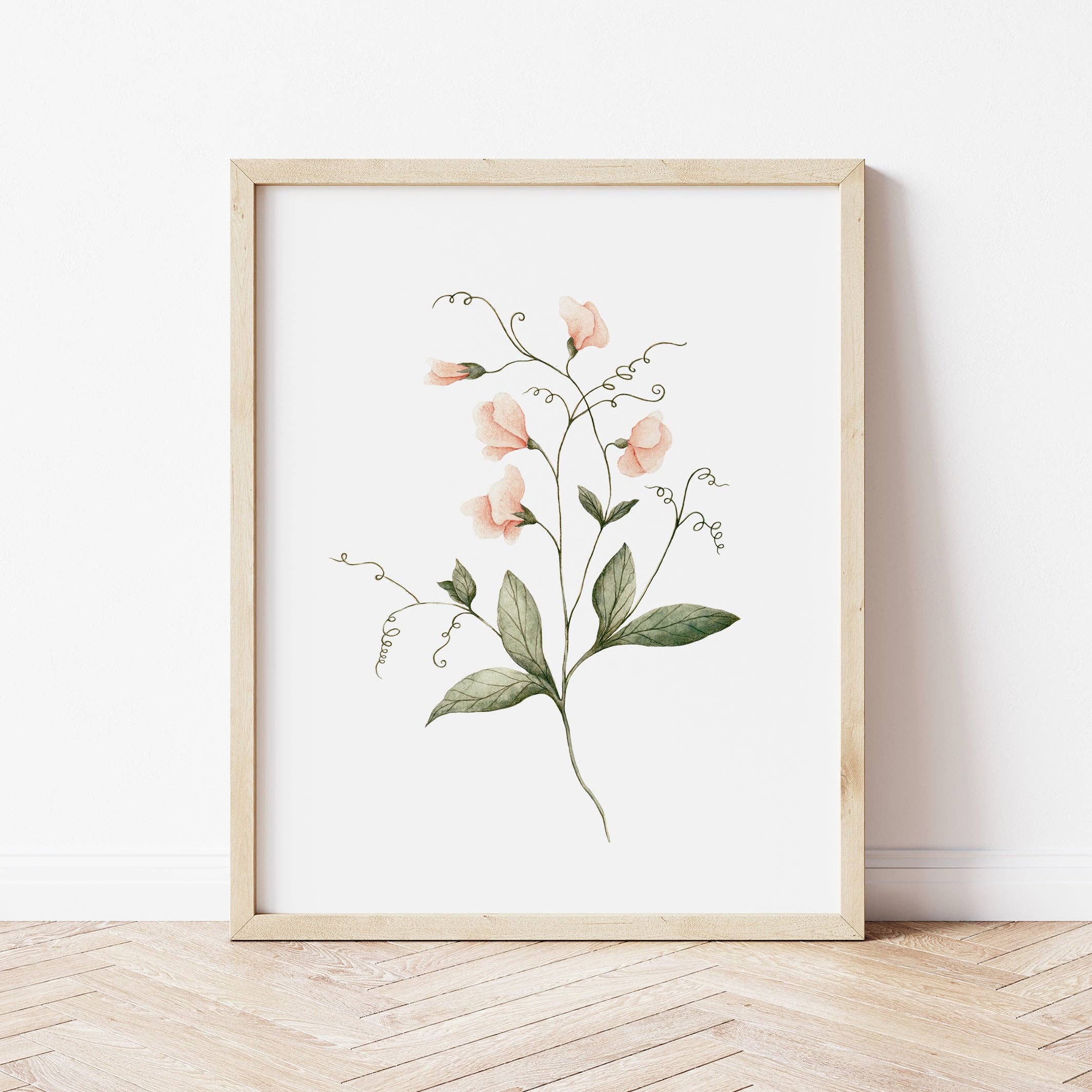 Marie-Lise Illustration - Wholesale Art Print - Affiche Pois de senteur