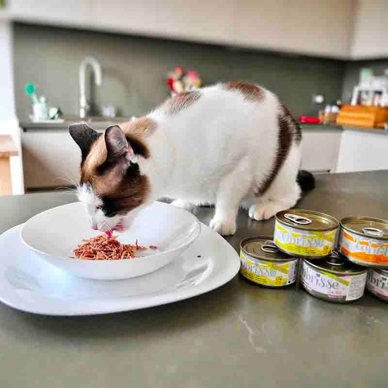 Croci - Vendita all'ingrosso Cibo - Gatti - Cibo umido per gattini – Vibrisse Natural Kittens - Croci3