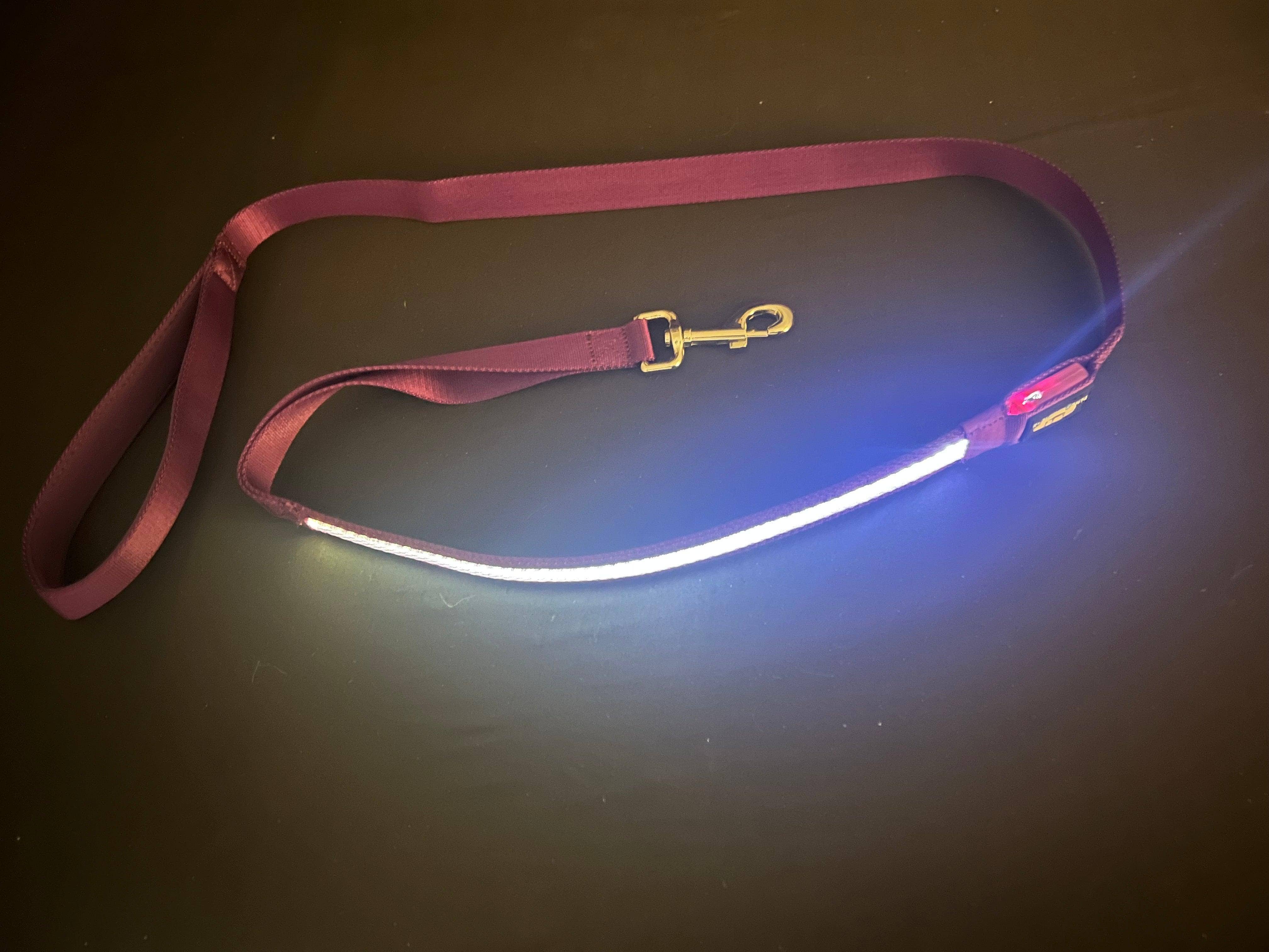 K-9ightLights L.L.C. - Wholesale Pet Leash - Dog - K-9ightLights LLC Pet Supplies Best Light Up LED Dog Leash11