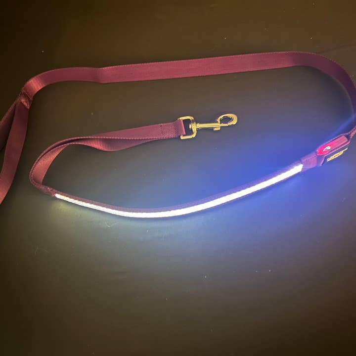 K-9ightLights L.L.C. - Wholesale Pet Leash - Dog - K-9ightLights LLC Pet Supplies Best Light Up LED Dog Leash11