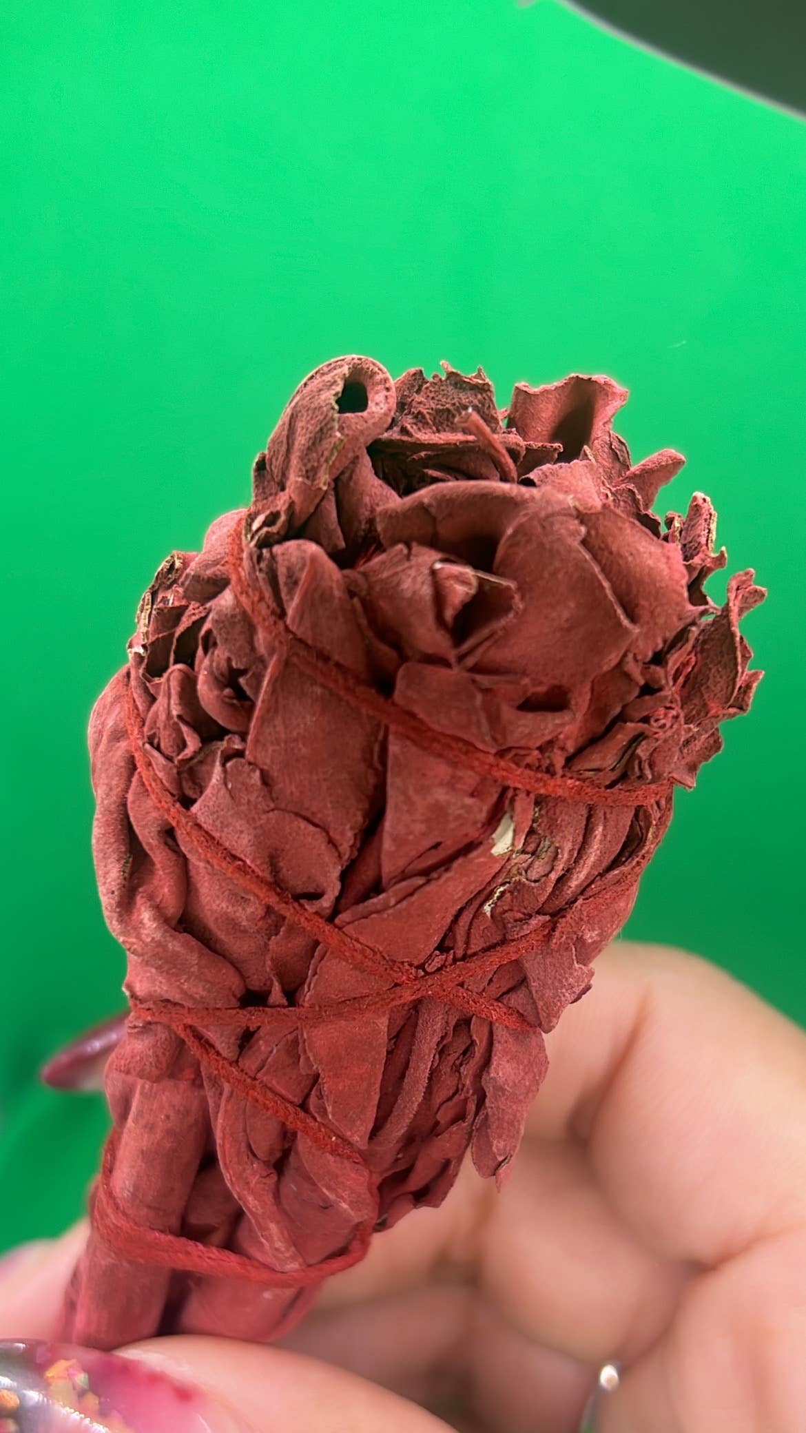 WaterBruja - Vendita all'ingrosso Stick smudge - Bastoncino di Salvia al Sangue di Drago, 4" Protezione e Purificazione8