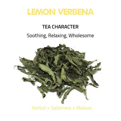 Tea Rebellion – Großhandel Loser Tee – Lemon Verbena - Kräutertee | aus Malawi | Biologisch abbaubare Tasche1