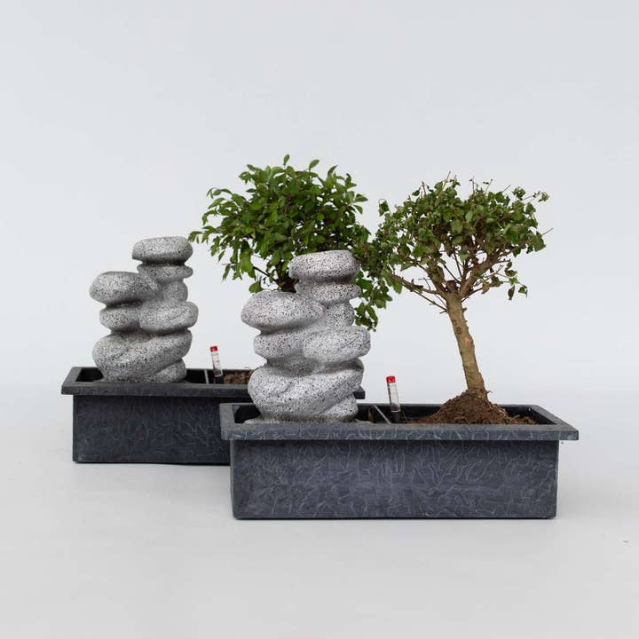 Oasis of Life - Wholesale Live Plant - Bonsai - Set of 2 Chinese bonsai trees - approx. 5 years old - with Easy Care System & water level indicator - Decorative Zen arrangement with stones & mini waterfall - Easy to care for & durable - Height 25β35cm - Γ29cm
