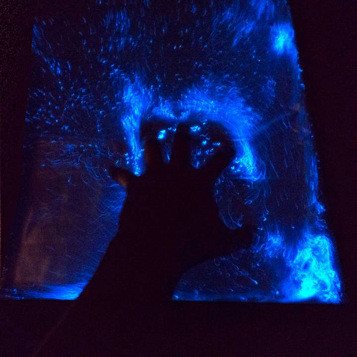 Dino-Tile / interactive bioluminescence for wholesale by PyroFarms