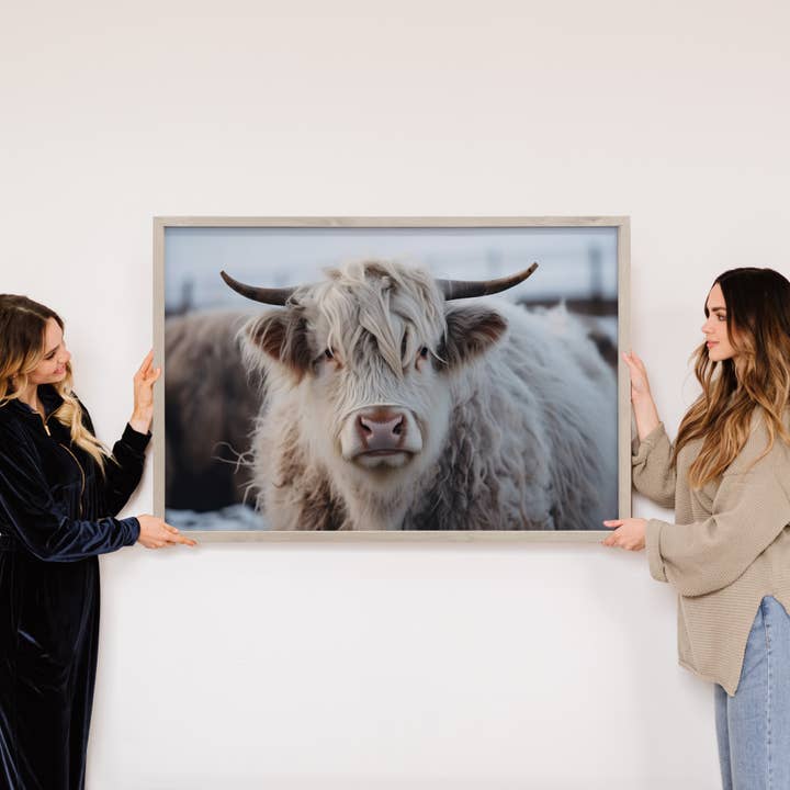 Hangout Home - Wholesale Kunstprint - White Highland Cow - Boerderijinrichting - Ingelijste dierenfoto2