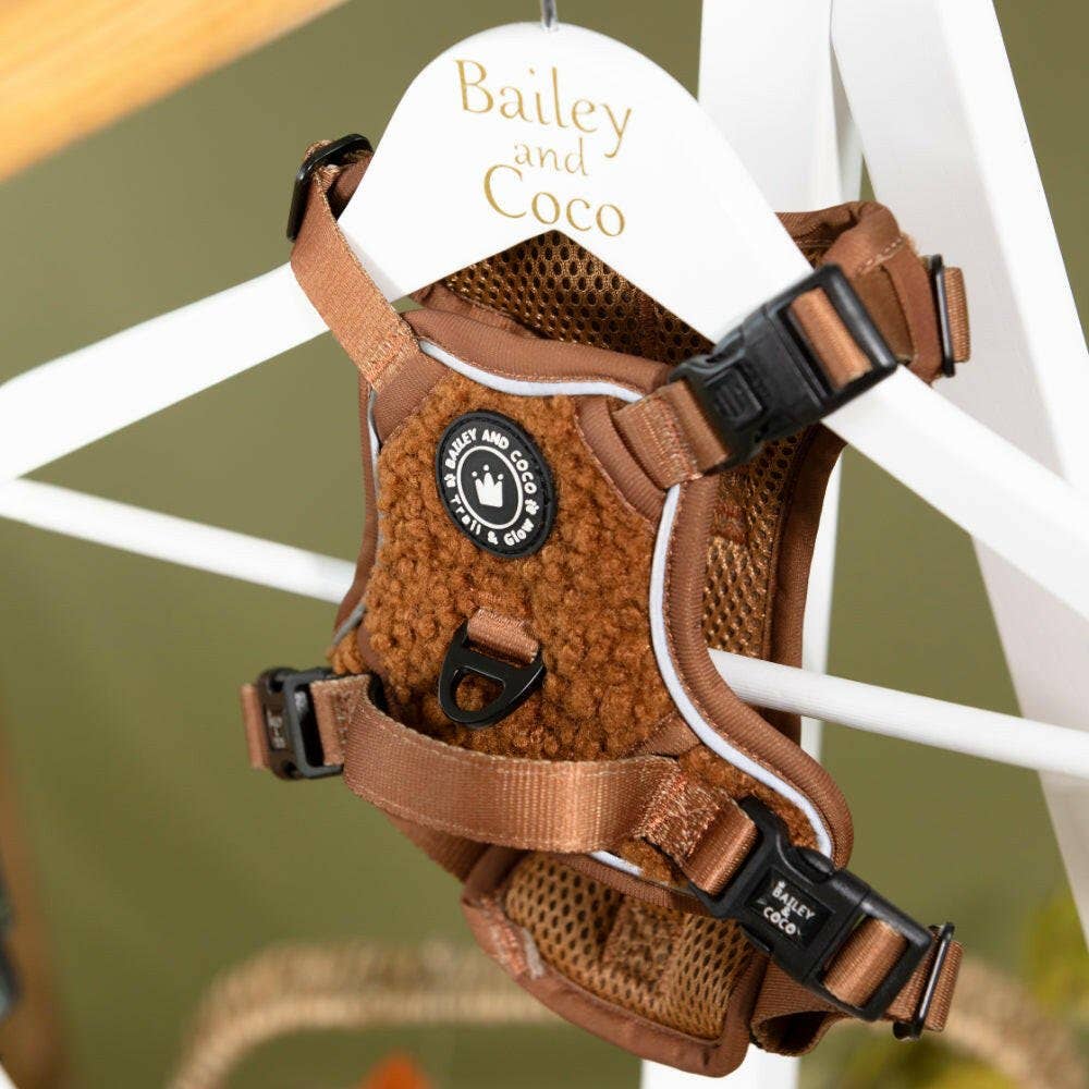 Bailey and Coco - Vente Harnais – chien - Ensemble de harnais pour chien Trail & Glow® - Ours en peluche8