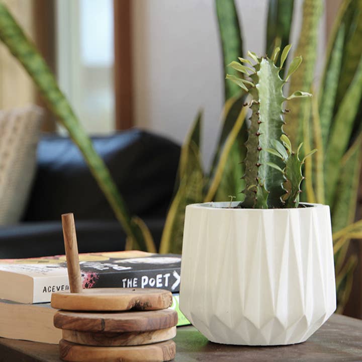 Pacific Home & Garden - Wholesale Plant Pot - Aurora Geometric Concrete Tumbler Planter0