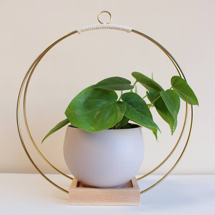 Braid & Wood Design Studio - Venta al por mayor Macetas colgantes - Macetero Colgante Dorado, Colgador de Plantas Moderno (Grande)