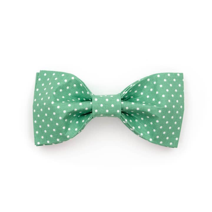 Gentiluomo a Pois Alpino Papillon per la vendita all'ingrosso da parte di Puddle Jumper Pups