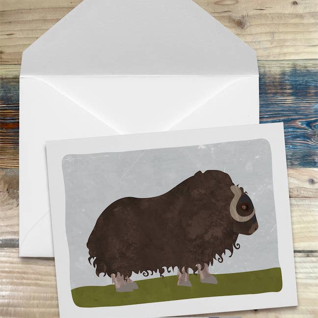 Wren and the Raven - Wholesale Stationery/Notecard Set - Alaska Wildlife Series Notecards