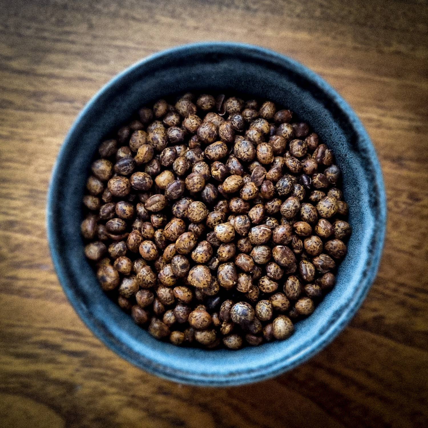 Yoann Gouery-Graine de Breton – wholesale Nuts – Roasted "Grillo'Lup" lupin seeds 1 kg AB