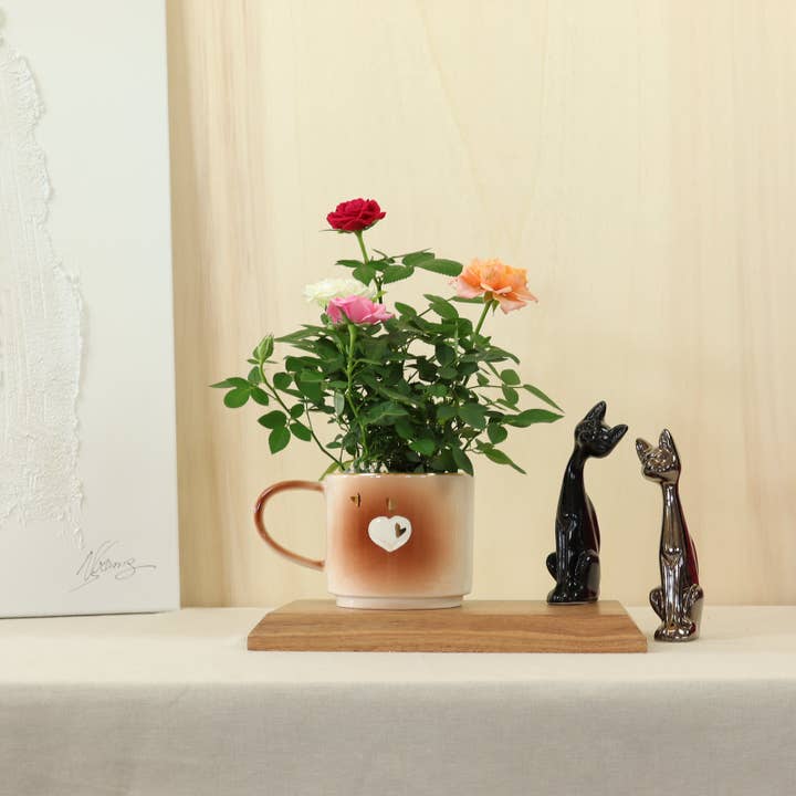 Atelier nelson gomes – Engroshandel Kaffekrus – Hearts krus 50111