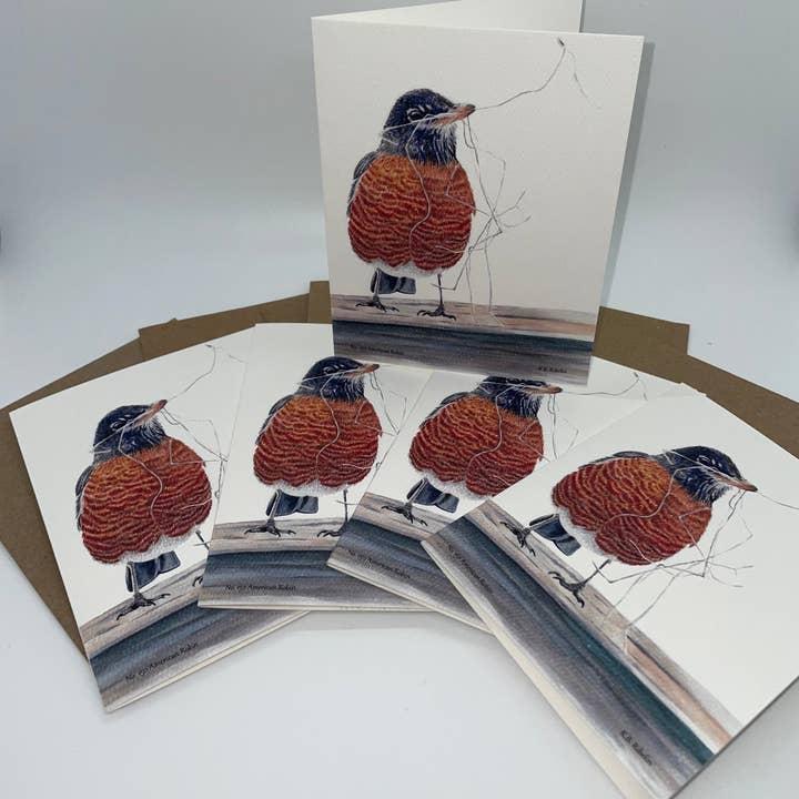 Bird Art by KB – wholesale Kontorsmateriel/Notecard Set – Amerikansk rödhake - Kort med kuvert