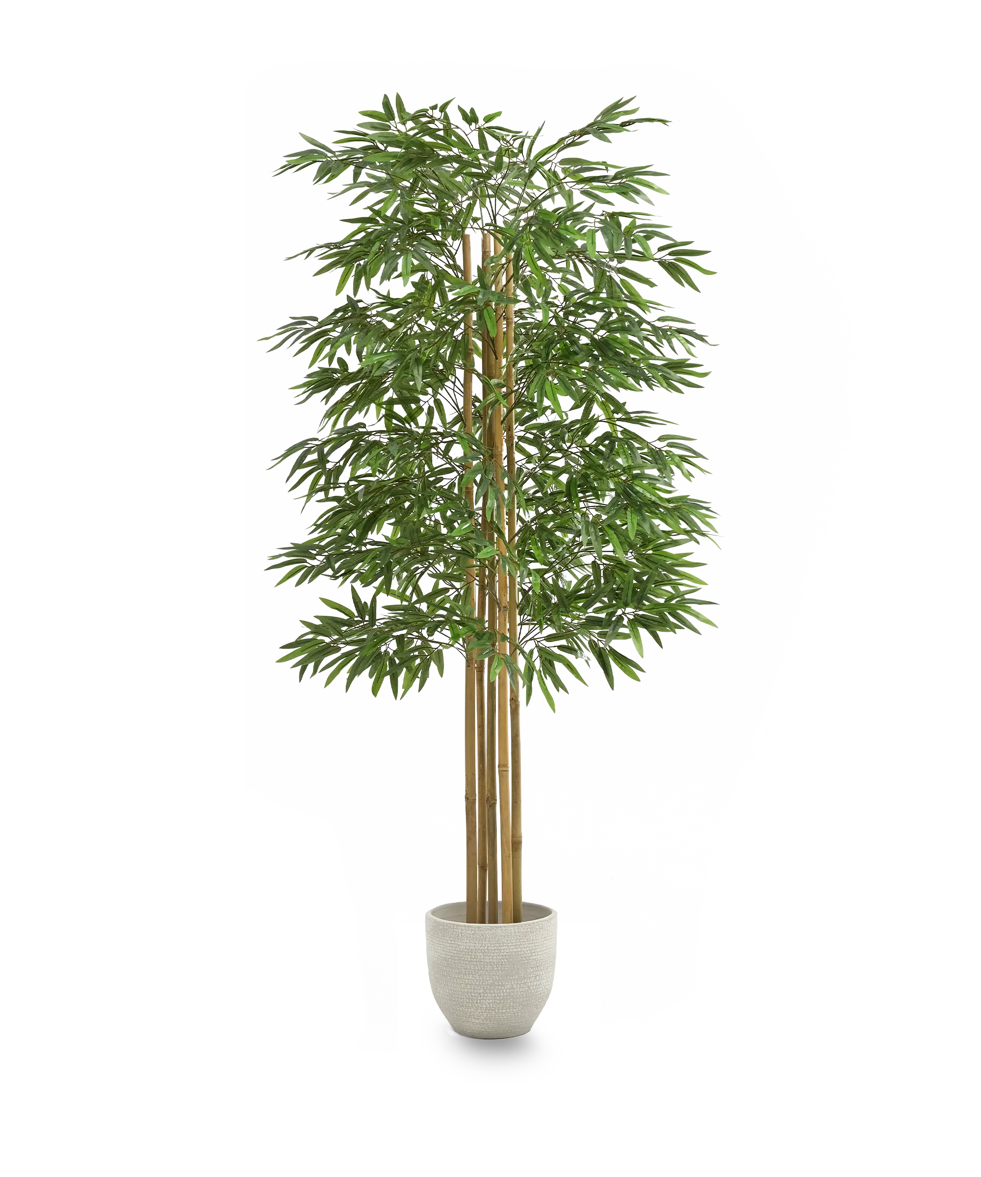 Maia Shop - Wholesale Artificial Plant - Artificial Bamboo 180 cm6