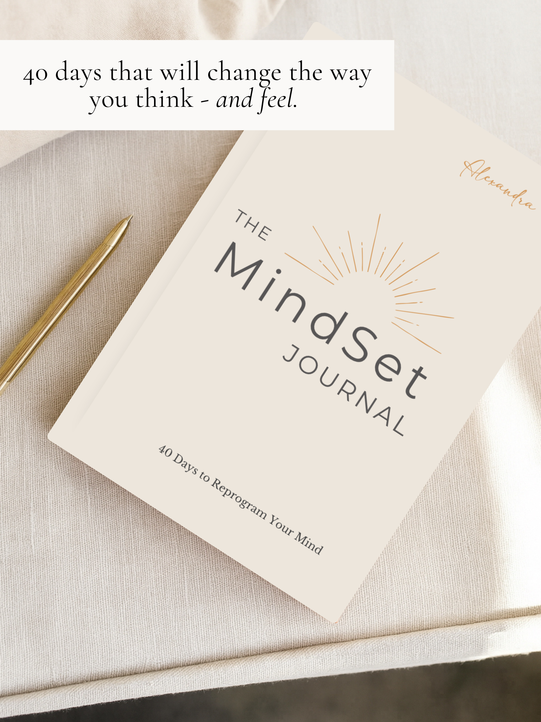 The Momentum Way - Wholesale Journal/Diary - The Mindset Journal: 40 Days to Rewire Your Mind for Success1