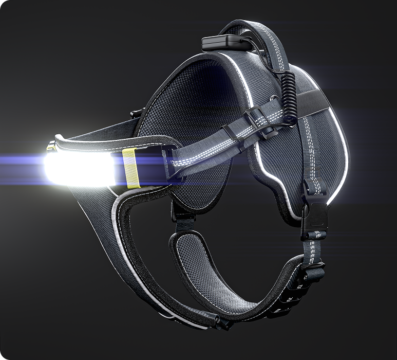 Lumi Pawtners - Wholesale Pet Harness - Dog - Lumi One - Lighting Your Path at Night!4