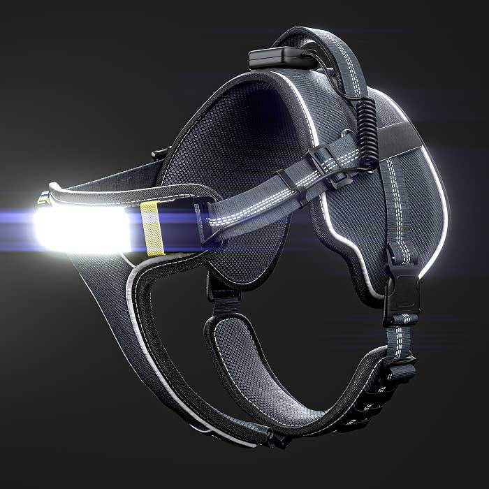 Lumi Pawtners - Wholesale Pet Harness - Dog - Lumi One - Lighting Your Path at Night!4