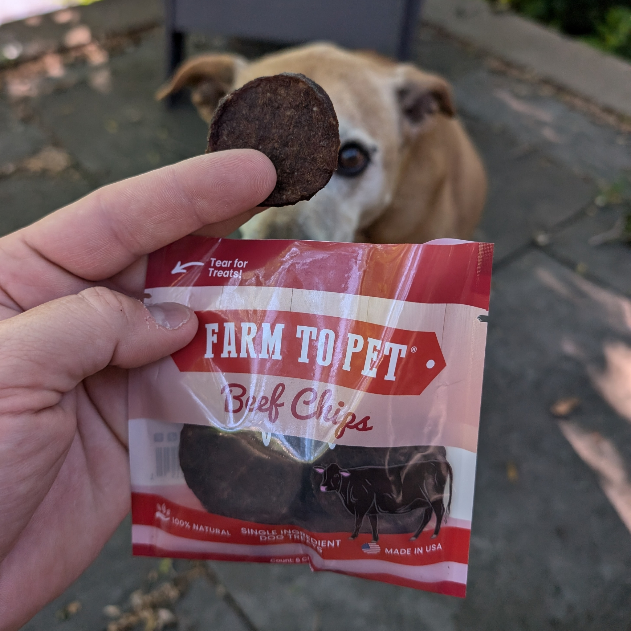 Farm to Pet Healthy Dog Treats - Vente Friandises – chien - Lot de friandises saines pour chiens aux chips de bœuf (24 paquets)3