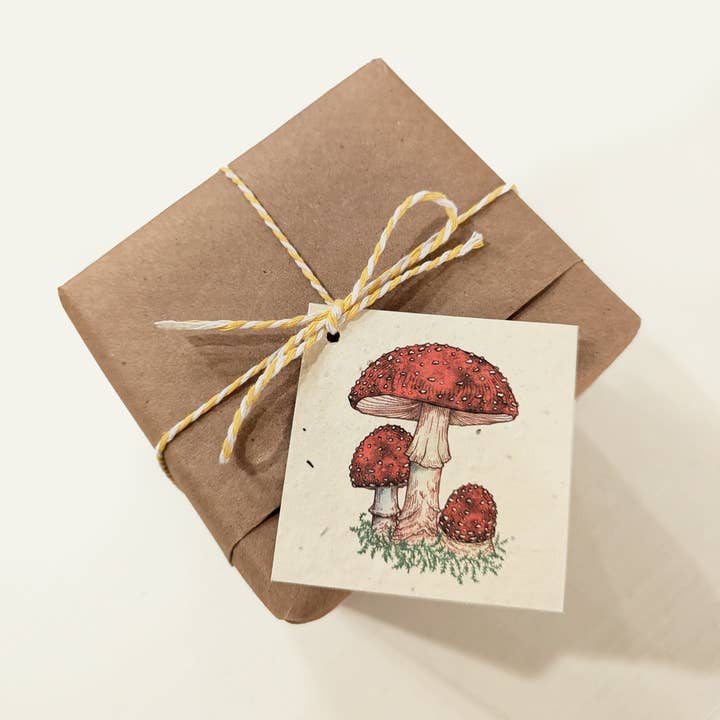 Small Victories - Wholesale Gift Tag - Mushroom Gift Tags - Plantable Wildflower Seed Paper