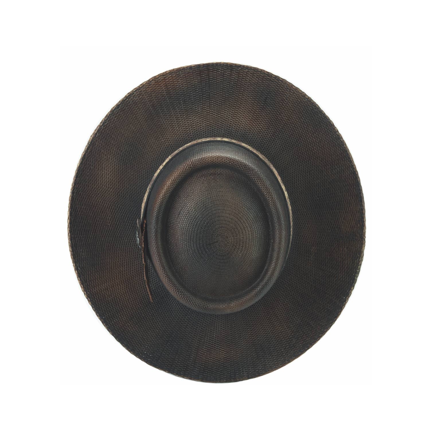 UNUSUAL  for wholesale on Faire3