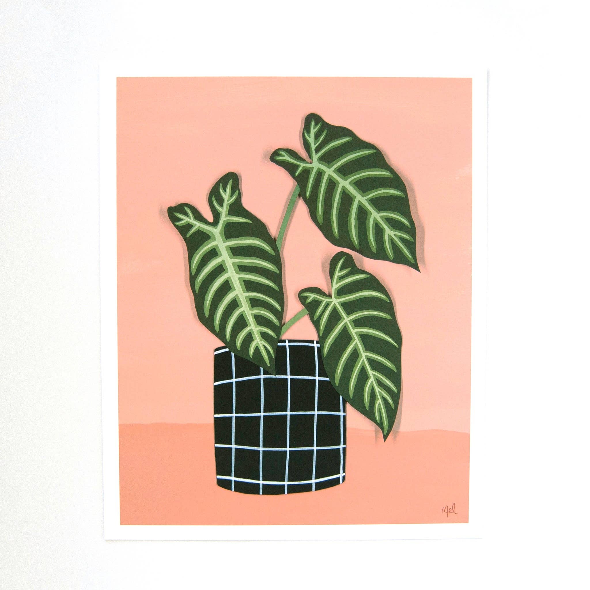 Melanie Gehrke Fine Art Studio - Wholesale Art Print - "Lively Elephant Ear" A Vertical Print2