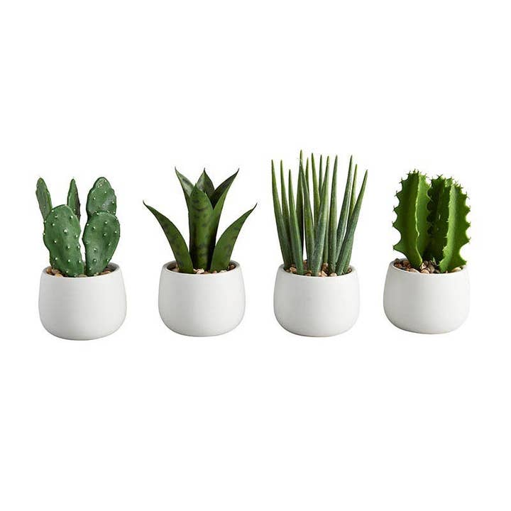 Cactus In Pot Set for wholesale by Angle