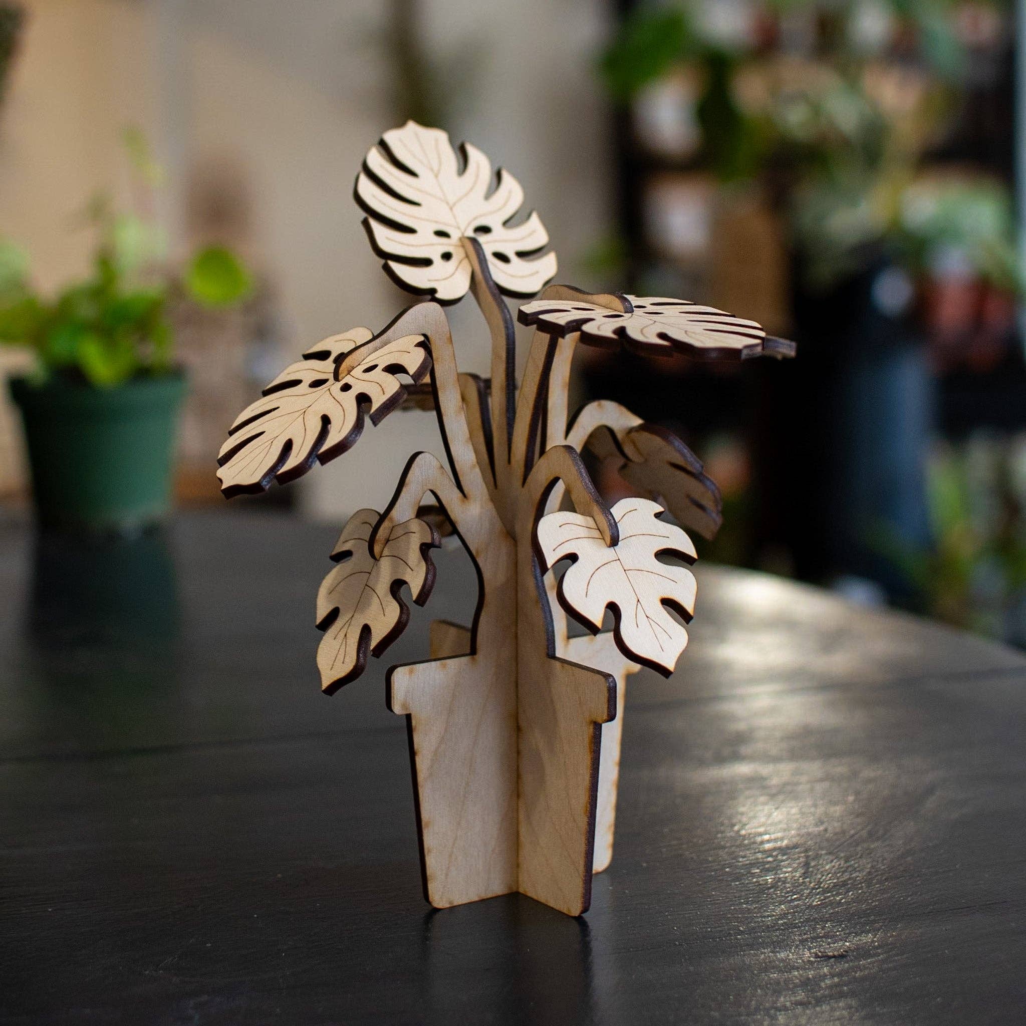 Still Magnolia - Wholesale DIY Craft Kit - Build A Plant - Monstera1