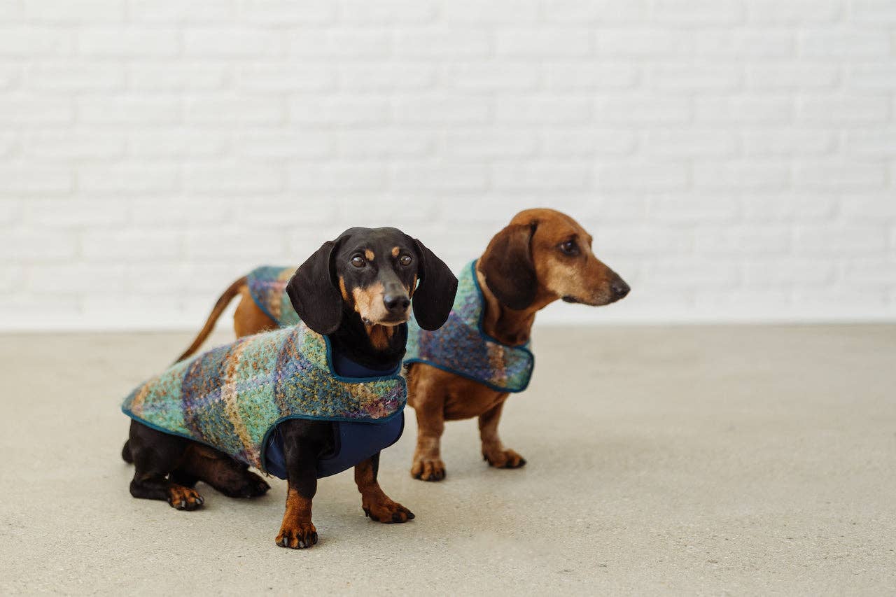 Dachshund Couture – Großhandel Haustiermantel – Hund – Dachshund coat turquoise tartan Gauguin