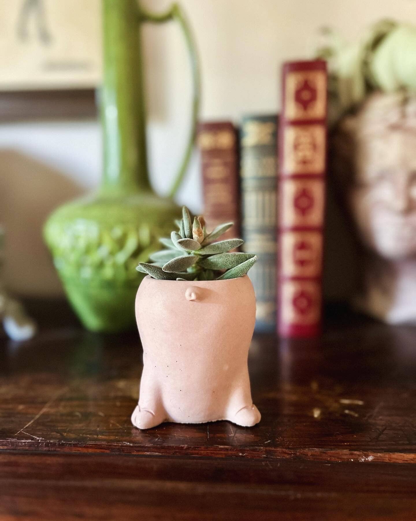 Queen City Crete - Wholesale Plant pot - Concrete Pig Planter2
