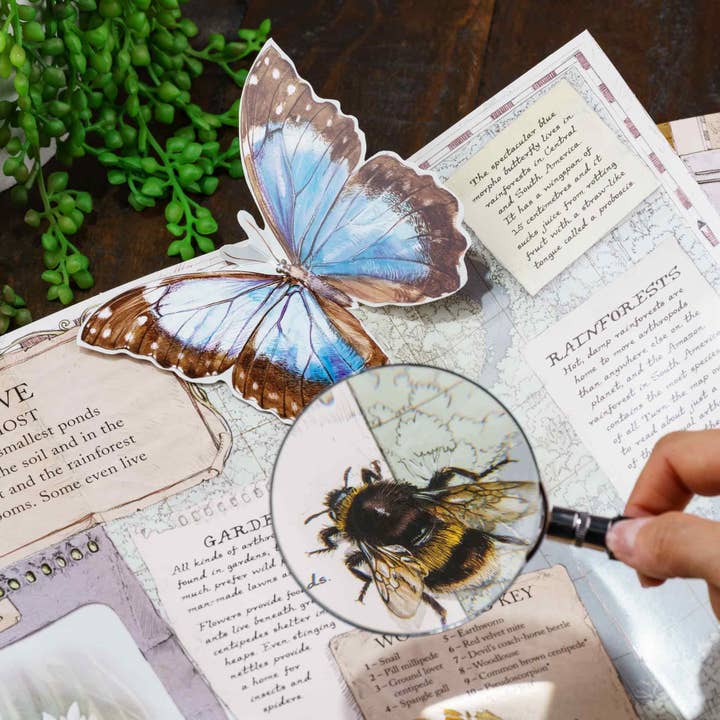 Heebie Jeebies - Wholesale Magnifying glass - Sherlock Magnifier Heebie Jeebies 2.5 Magnification2