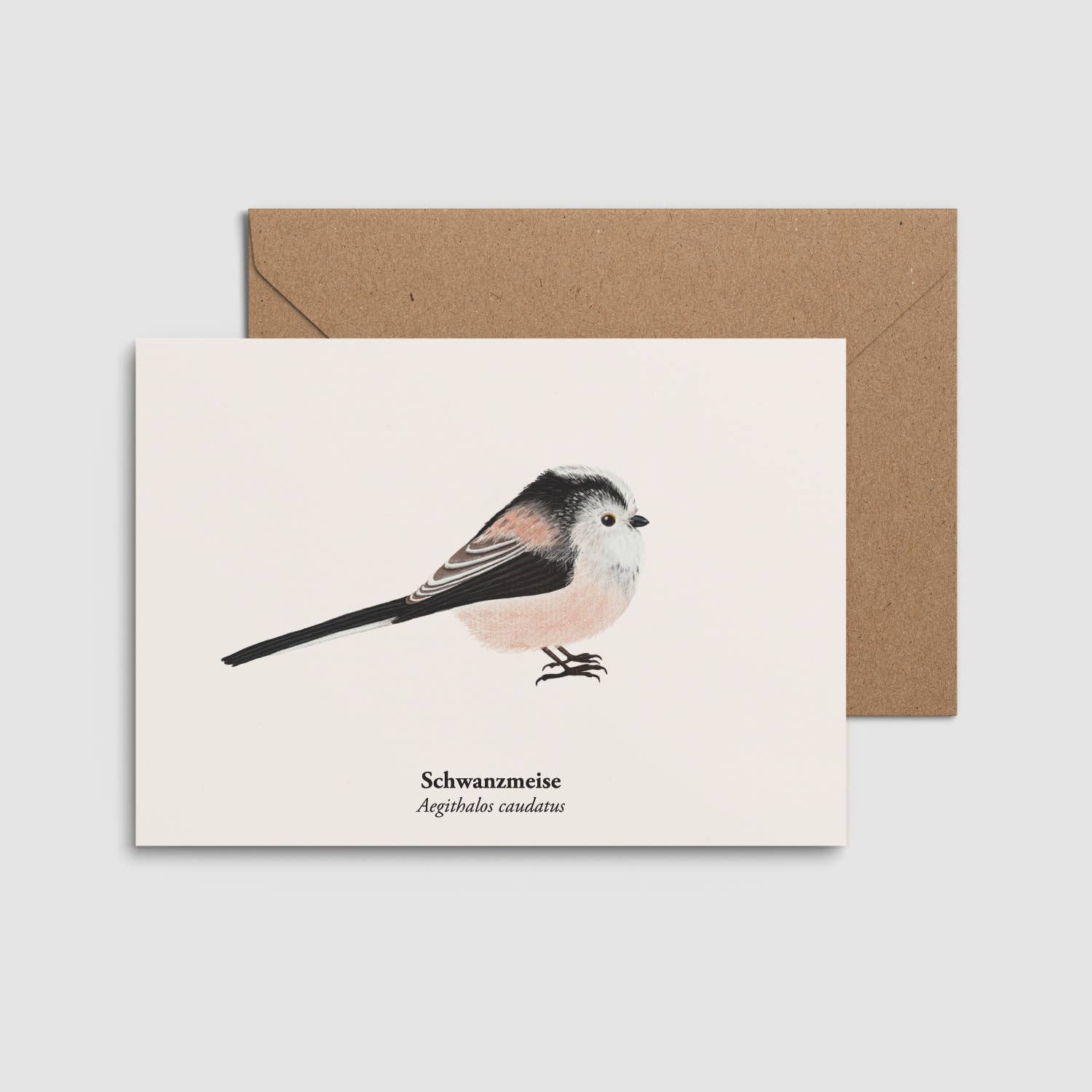 Terillu - Wholesale Postcard - Art postcard with long-tailed tit drawing