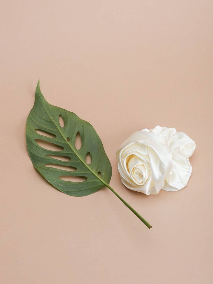 aubergine pour la vente par Casa Clara