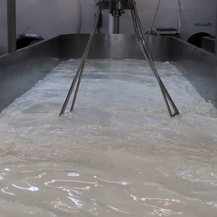 Alma Creamery LLC - Wholesale Cheese - 8oz. Monterey Jack Block