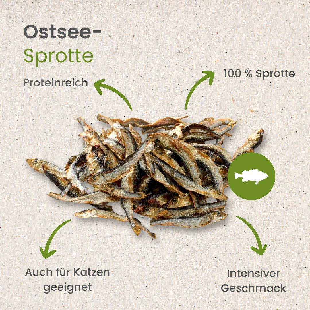 Kauartikel.com GmbH - Wholesale Hondenbot/Rawhide - Hond - Baltische sprot zonder conserveermiddelen als hondensnack4