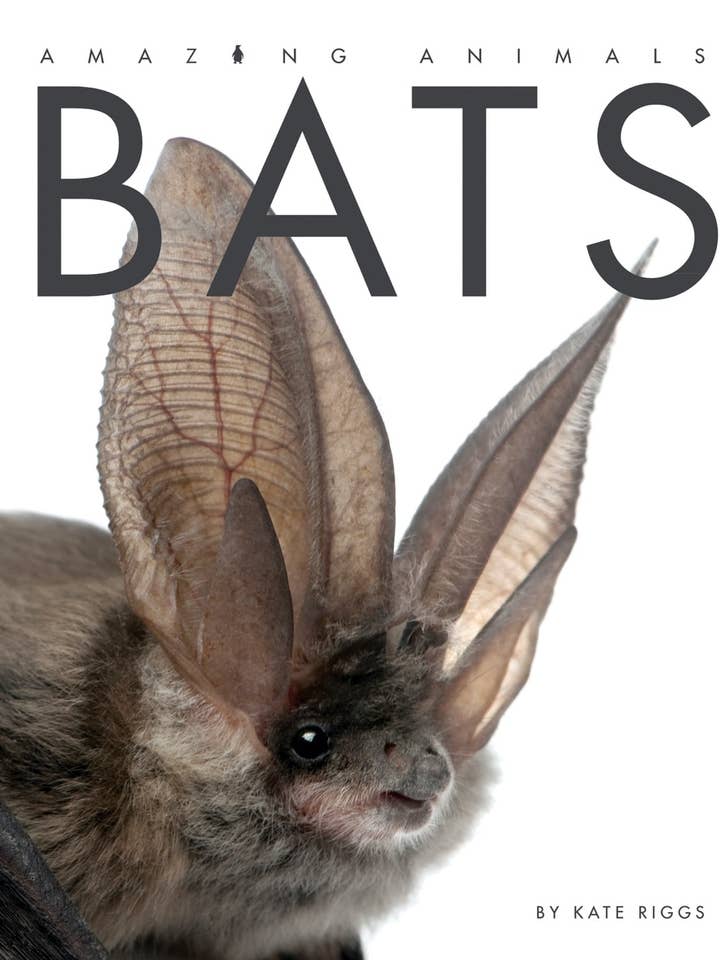 Amazing Animals - Classic Edition: Bats for wholesale by The Creative Company
