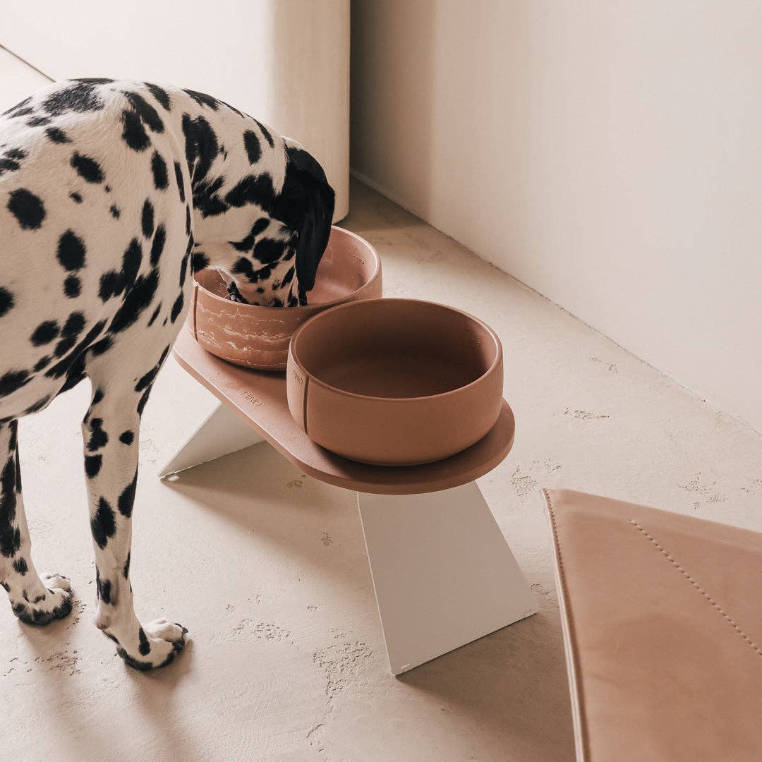 PINO – Engroshandel Kæledyrsskål – Hund – Klassisk skål57