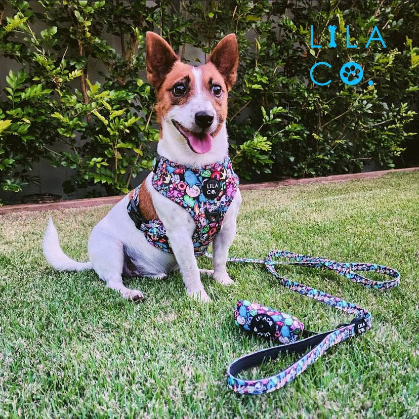 Lila Co - Wholesale Pet Leash - Dog - Dog Leash | Gamer Characters3