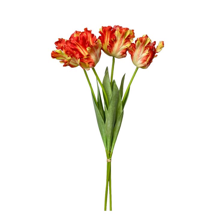 Angel Isabella - Wholesale Artificial flowers - 27" Artificial 3-D printed Soft Touch Parrot Tulip5