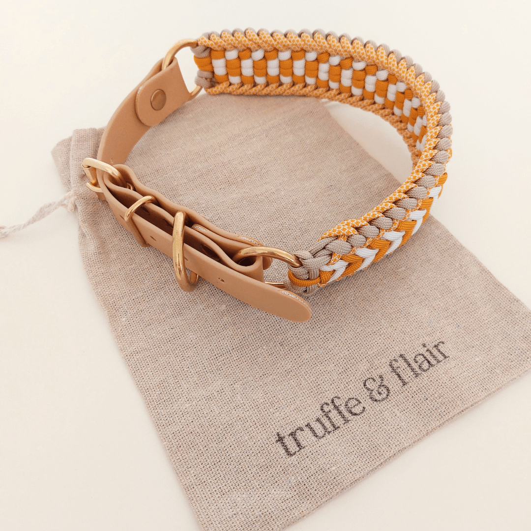 Truffe & Flair - Wholesale Pet Collar - Dog - Braided Dog Collar - Biothane/Paracord - Yellow7