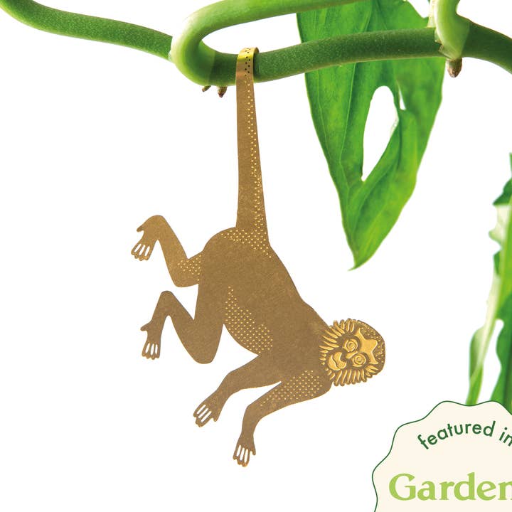 Plant Animal - Spider Monkey, houseplant decoration for wholesale by Another Studio U.S