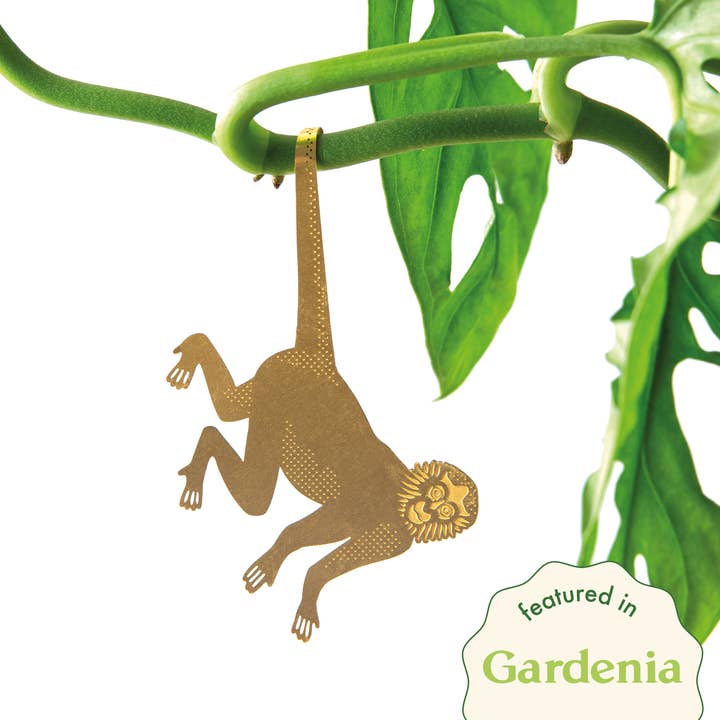 Plant Animal - Spider Monkey, houseplant decoration and other Purchase Wholesale brass monkey. Free Returns & Net 60 Terms on Faire trending on Faire.