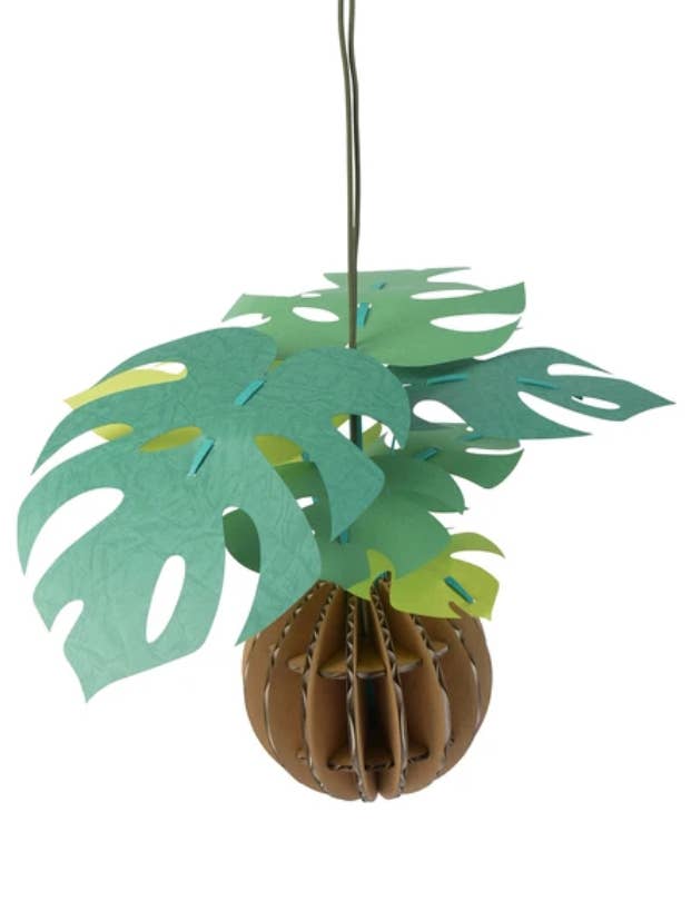 Japanese Paper Plant Craft Monstera, Kamino Midori DIY for wholesale by 「FUNJI」In Japan