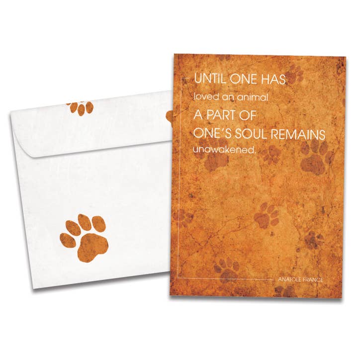 Unawakened Soul Pet Sympathy 6 Pack 12846 for wholesale by Tree-Free Greetings