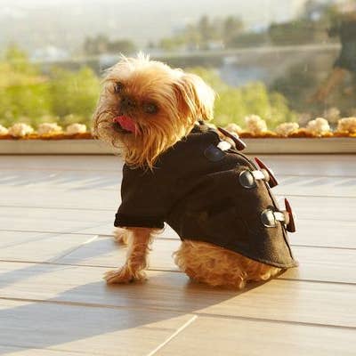 Chewy Toggle Coat for wholesale by Bone Vivant