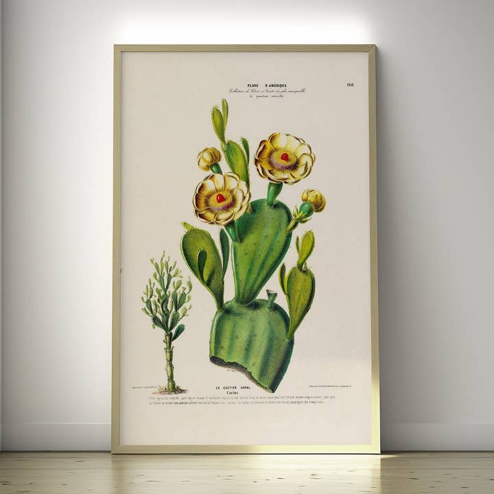 Affiche de cuisine - Impression de cactus Affiche de cactus for wholesale by Vintage Wall Graphics